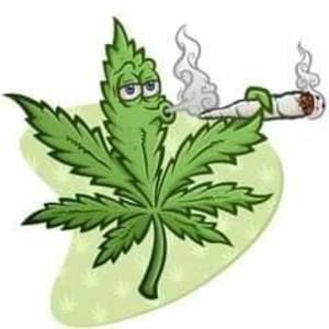 Meet your Posher, Bruce